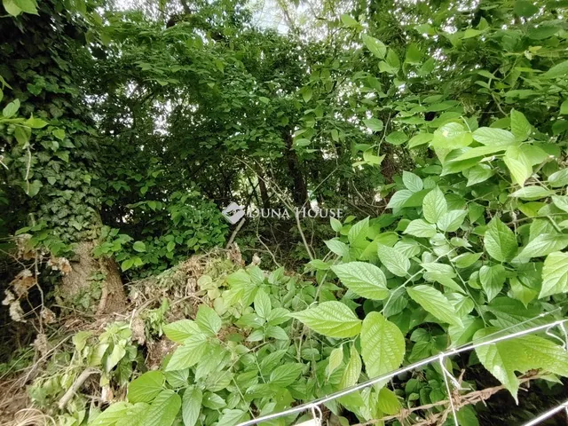 Eladó telek Szigetszentmiklós 300 nm