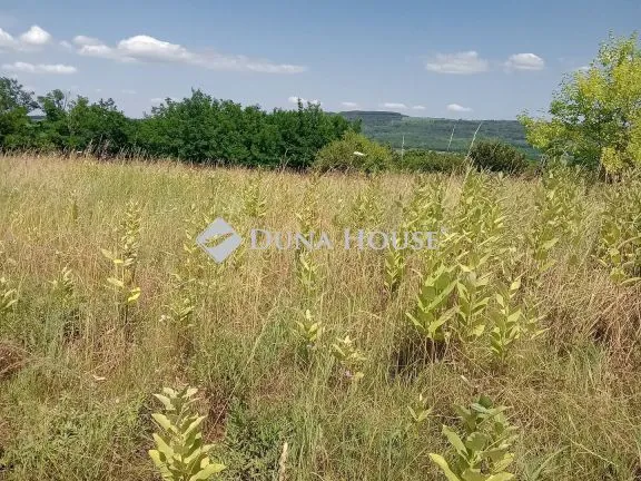 Eladó telek Látrány, Tó utca 1500 nm