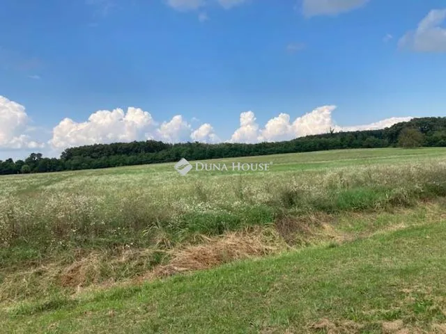 Eladó telek Hollád, Külterület 76438 nm