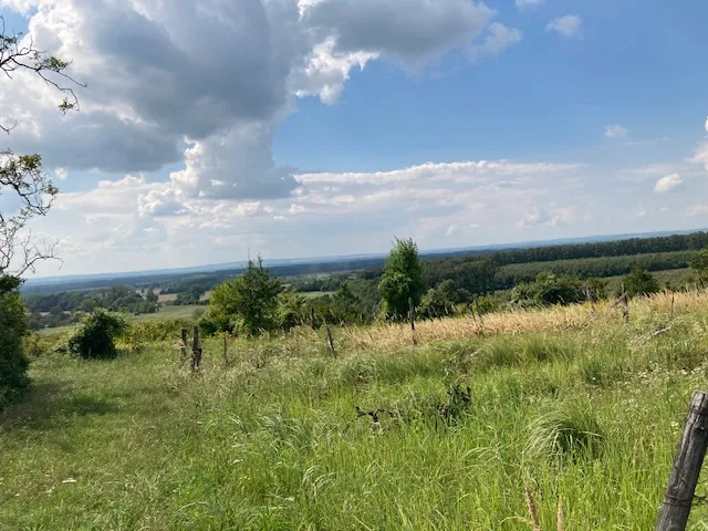 Eladó telek Hollád, Zártkert 6467 nm