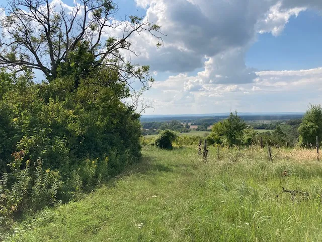 Eladó telek Hollád, Nincs utca 2200 nm