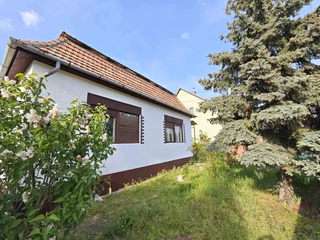 Eladó ház Ráckeve 215 nm