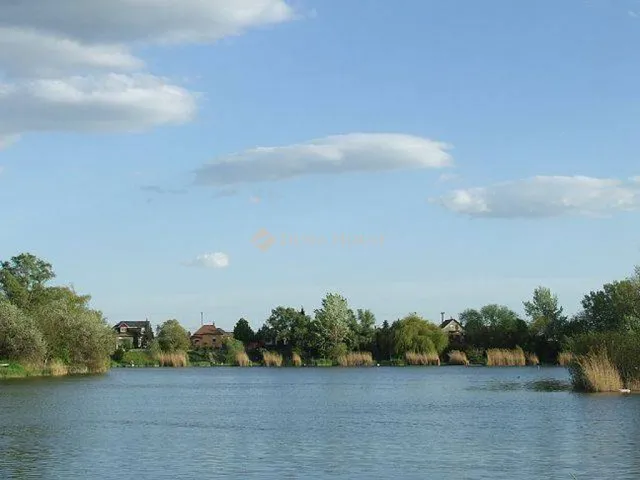 Eladó telek Délegyháza 12438 nm