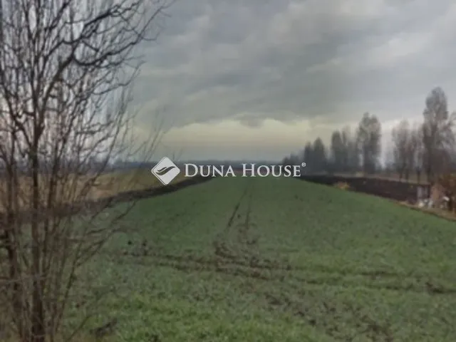 Eladó telek Sárszentágota 13137 nm