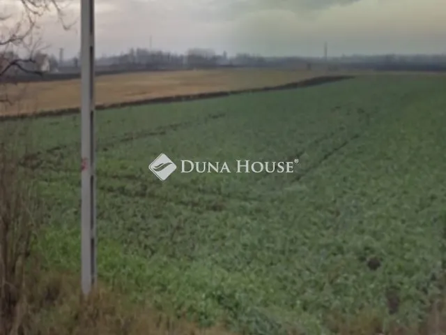 Eladó telek Sárszentágota, Május 1. utca 13137 nm