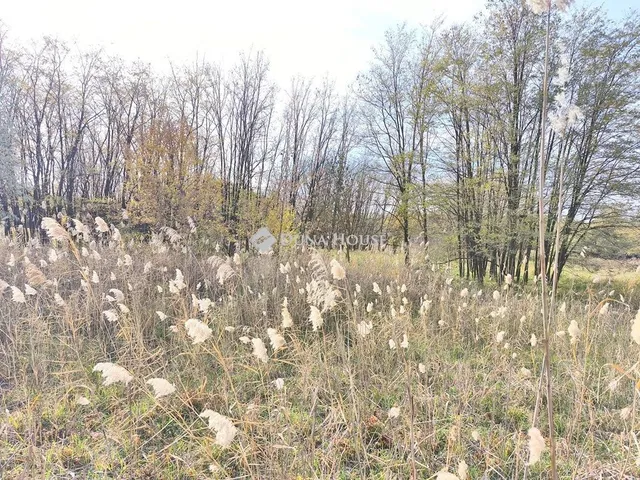 Eladó telek Farmos 10000 nm