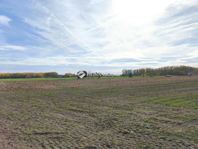 Eladó telek Farmos 10000 nm