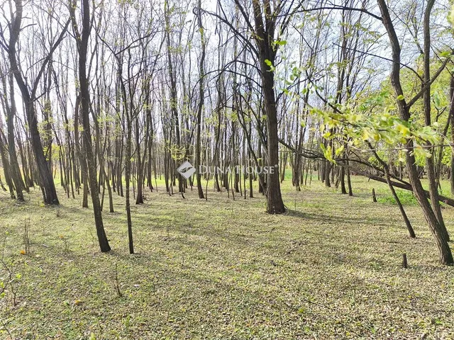 Eladó telek Farmos 9999 nm