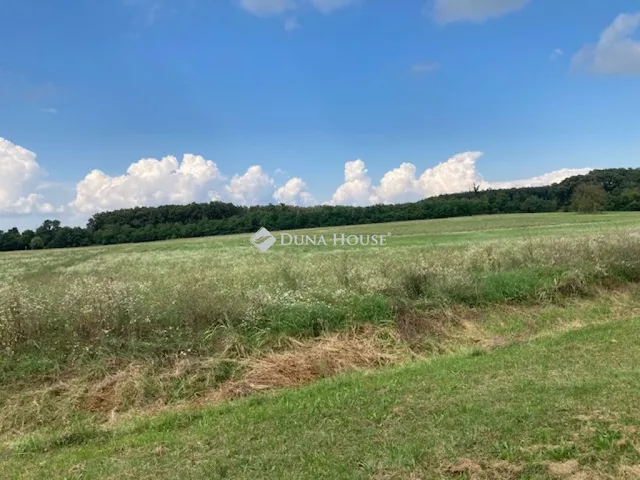 Eladó telek Hollád 76438 nm