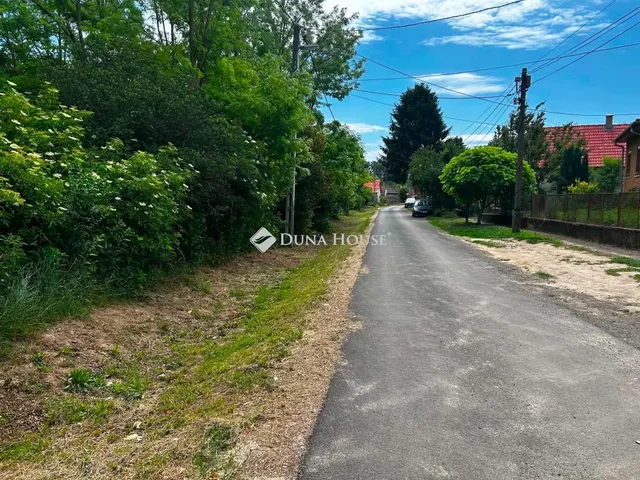 Eladó telek Nagycsepely, Dózsa György utca 3834 nm