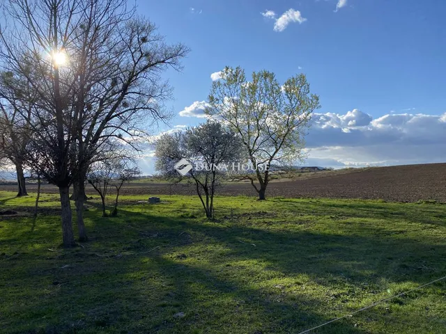 Eladó kereskedelmi és ipari ingatlan Sárazsadány 17099 nm