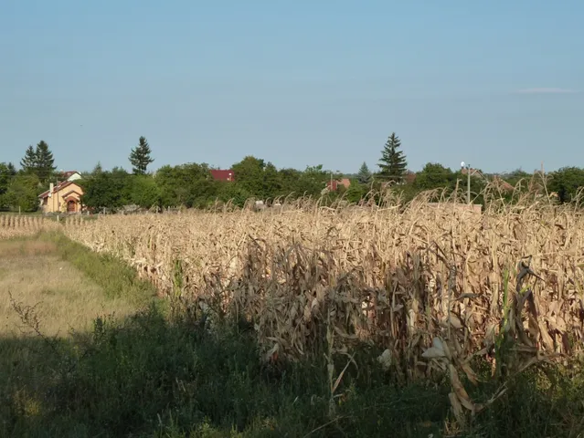 Eladó telek Baracska 3693 nm