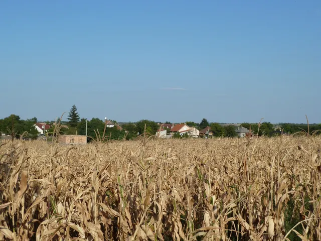 Eladó telek Baracska 3693 nm