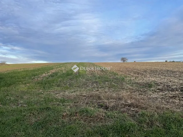 Eladó telek Narda 6670 nm