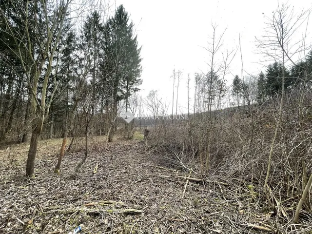 Eladó telek Szentgotthárd 904 nm
