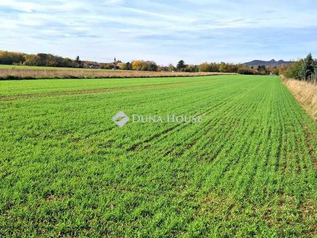 Eladó telek Celldömölk 7338 nm