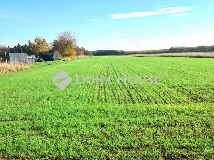 Eladó telek Celldömölk, Táncsics Mihály utca 7338 nm