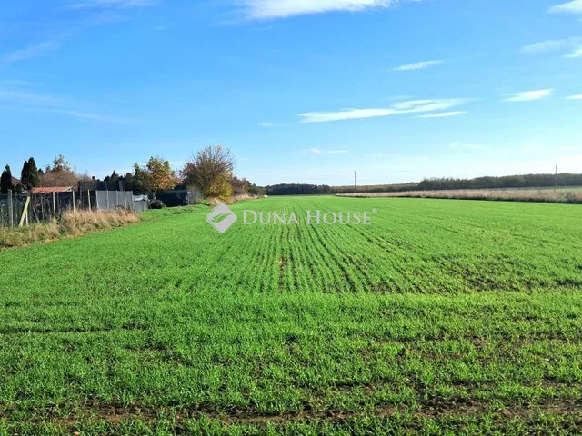 Eladó telek Celldömölk, Táncsics Mihály utca 7338 nm