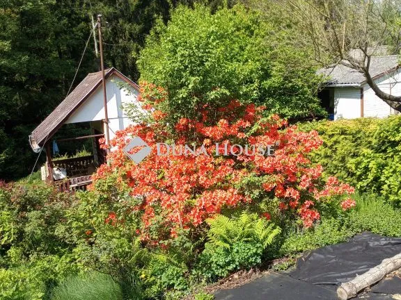 Eladó telek Nádasd, Szilva köz 824 nm