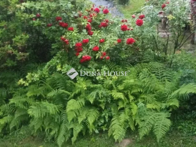 Eladó telek Nádasd, Szilva köz 824 nm
