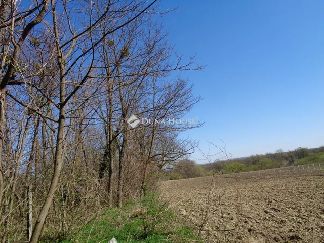 Eladó telek Zalaszabar, Deák Ferenc utca 10031 nm