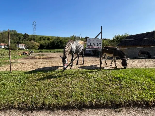 Eladó telek Karmacs 1758 nm