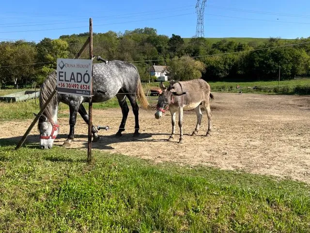 Eladó telek Karmacs, Kisfaludy Sándor utca 1758 nm