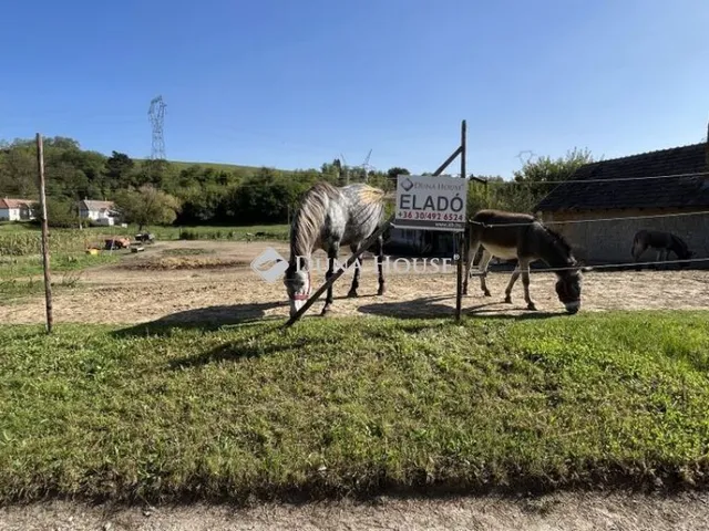 Eladó telek Karmacs 1758 nm