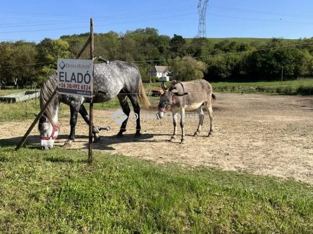 Eladó telek Karmacs, Kisfaludy Sándor utca 1758 nm