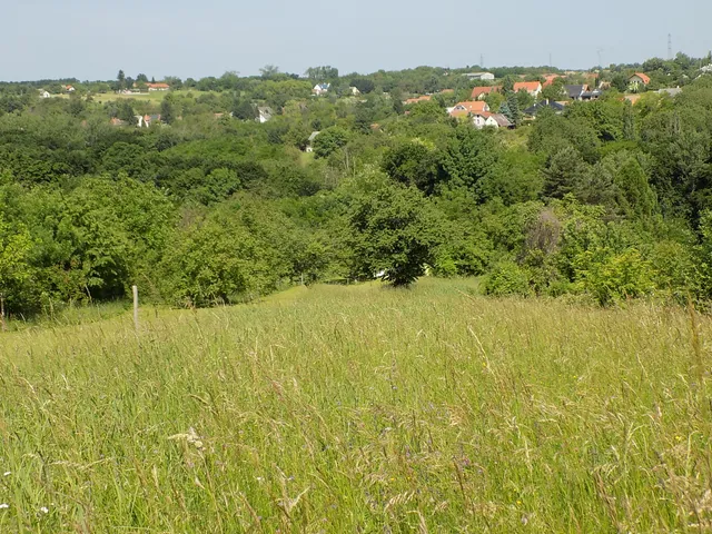 Eladó telek Felsőpáhok 3094 nm