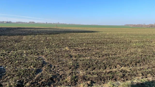 Eladó telek Balatonkeresztúr, Sport utca 1168 nm