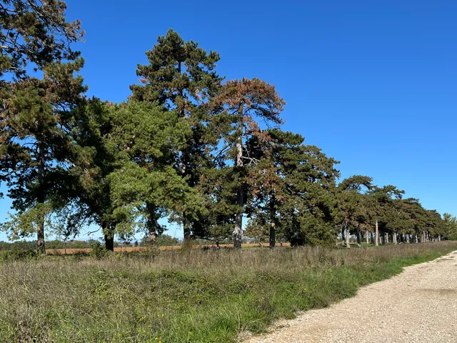 Eladó telek Keszthely 734 nm