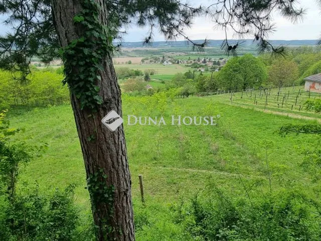 Eladó telek Gelse, Zártkert 3157 nm
