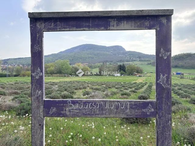 Eladó telek Badacsonytomaj 24000 nm