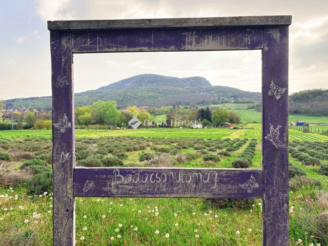 Eladó telek Badacsonytomaj 24000 nm