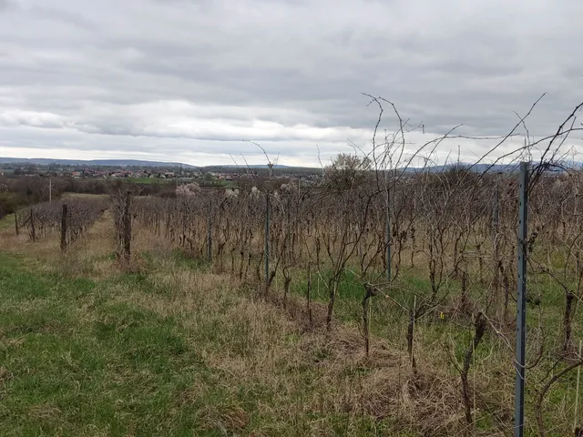 Eladó telek Tokod 2072 nm