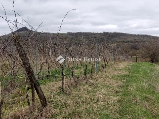 Eladó telek Tokod 6183 nm