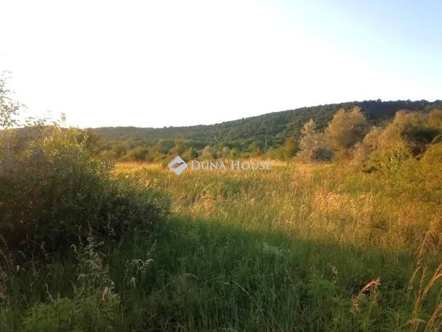 Eladó telek Budapest II. kerület 1264 nm