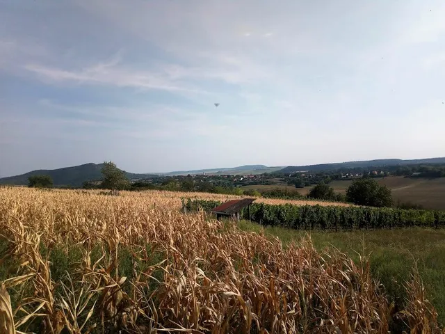 Eladó telek Bajna 3558 nm