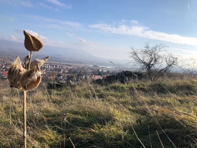 Eladó telek Dorog 1557 nm