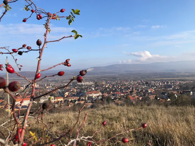 Eladó telek Dorog 1557 nm