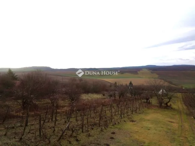 Eladó mezőgazdasági ingatlan Bajna 50 nm