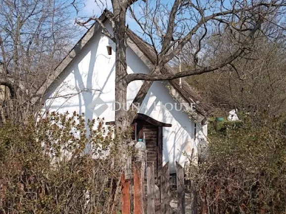 Eladó üdülő és hétvégi ház Nagysáp, Sápítóhegyi utca 40 nm