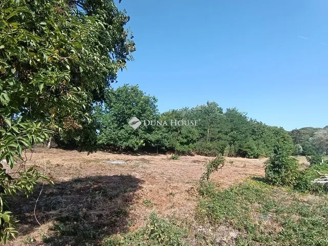 Eladó telek Úny, Nefelejcs utca 1194 nm