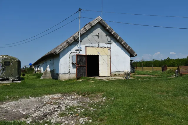 Eladó mezőgazdasági ingatlan Kunszentmiklós 1500 nm