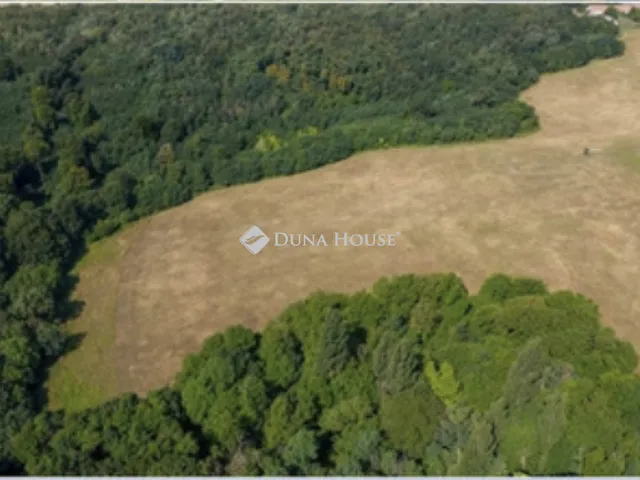Eladó telek Nemesbük 170000 nm