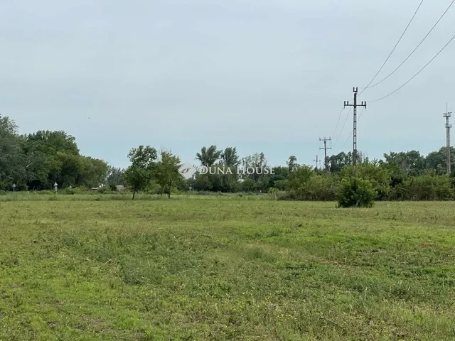 Eladó telek Martfű 4656 nm