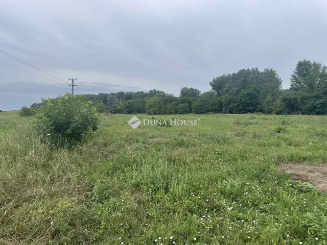 Kiadó telek Martfű 4656 nm