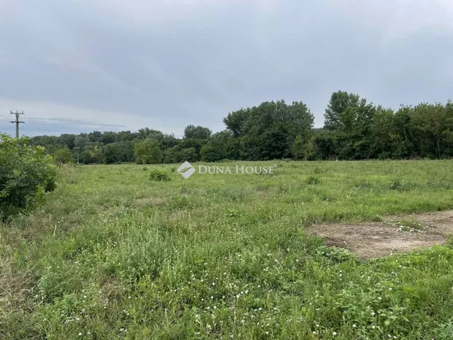 Kiadó telek Martfű 4656 nm