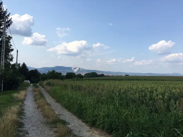 Eladó telek Pécs, Milinkó dűlő 3000 nm